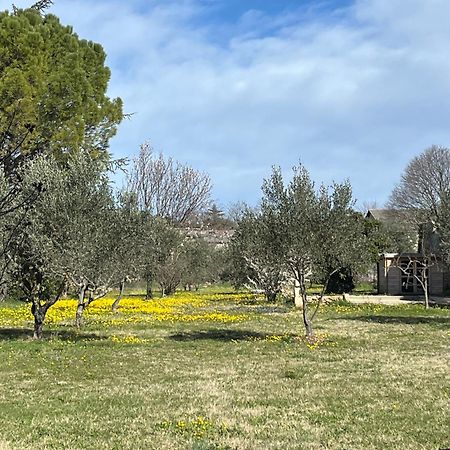Bouchet  Le Nomade En Provence Bed & Breakfast エクステリア 写真