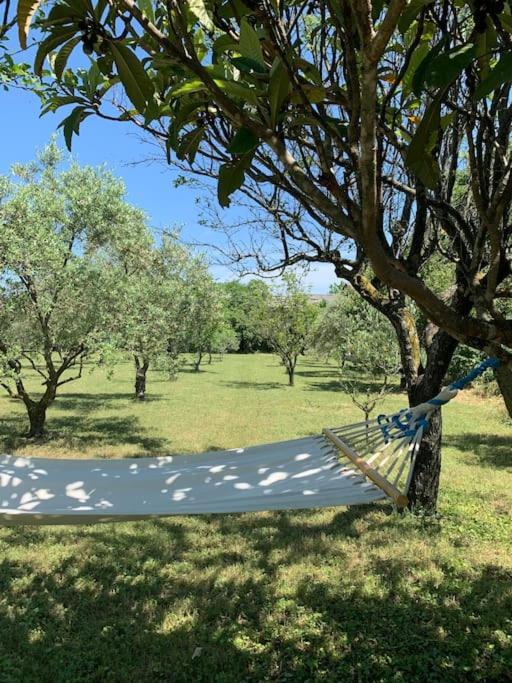 Bouchet  Le Nomade En Provence Bed & Breakfast エクステリア 写真