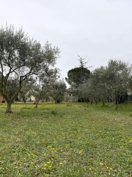 Bouchet  Le Nomade En Provence Bed & Breakfast エクステリア 写真