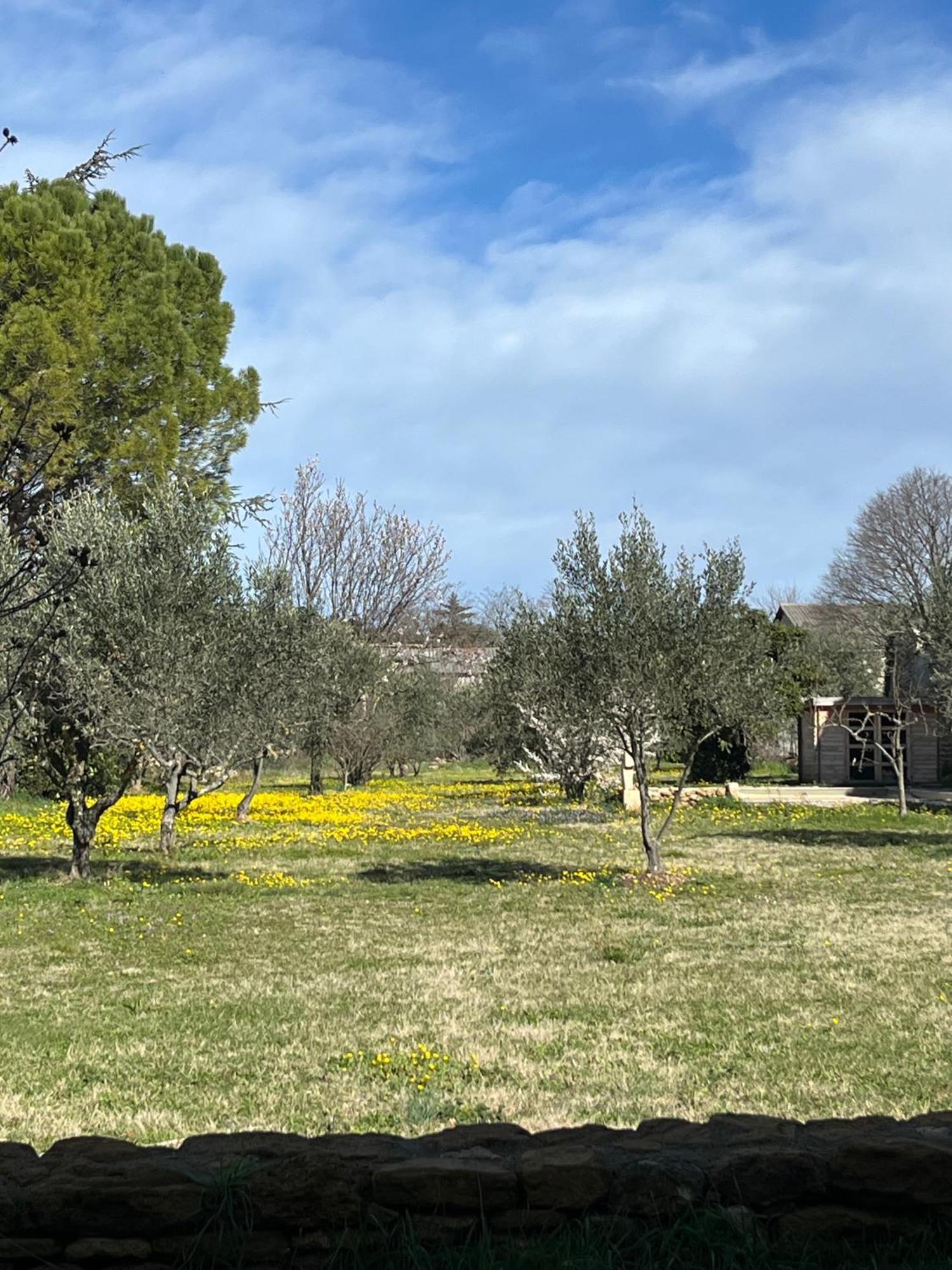 Bouchet  Le Nomade En Provence Bed & Breakfast エクステリア 写真