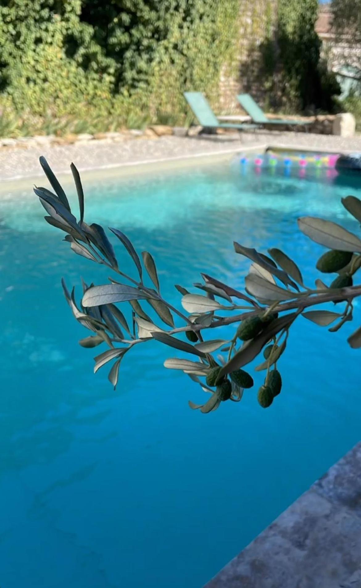 Bouchet  Le Nomade En Provence Bed & Breakfast エクステリア 写真